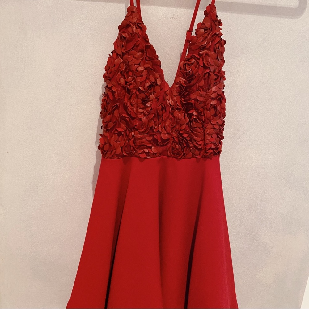 Red rose mini dress